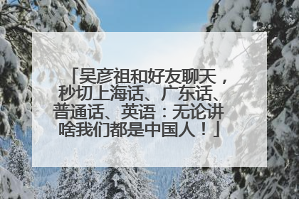 吴彦祖和好友聊天，秒切上海话、广东话、普通话、英语：无论讲啥我们都是中国人！