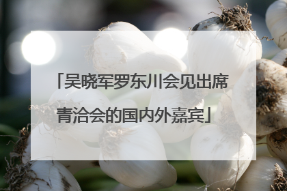 吴晓军罗东川会见出席青洽会的国内外嘉宾