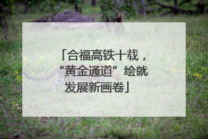 合福高铁十载，“黄金通道”绘就发展新画卷