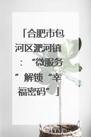 合肥市包河区淝河镇：“微服务”解锁“幸福密码”