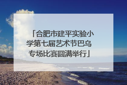 合肥市建平实验小学第七届艺术节巴乌专场比赛圆满举行