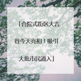 合院式街区大吉巷今天亮相！吸引大批市民涌入