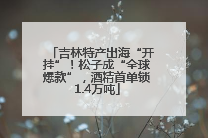 吉林特产出海“开挂”！松子成“全球爆款”，酒精首单锁1.4万吨
