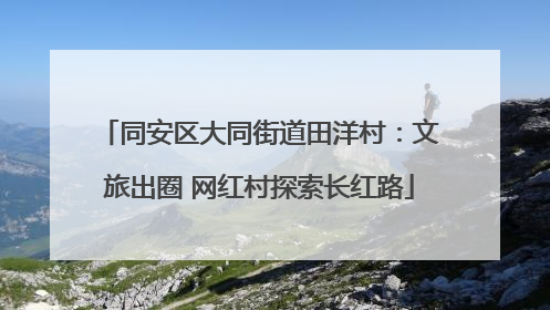同安区大同街道田洋村：文旅出圈 网红村探索长红路