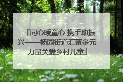 同心暖童心 携手助振兴——杨园街道汇聚多元力量关爱乡村儿童