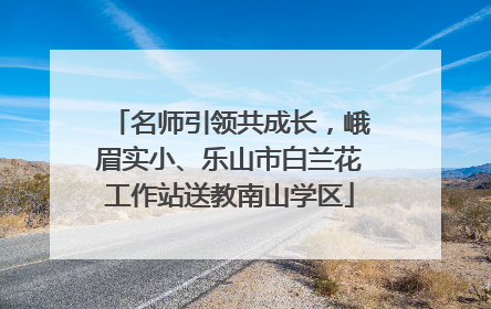 名师引领共成长，峨眉实小、乐山市白兰花工作站送教南山学区