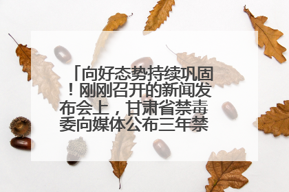 向好态势持续巩固！刚刚召开的新闻发布会上，甘肃省禁毒委向媒体公布三年禁毒工作“成绩单”