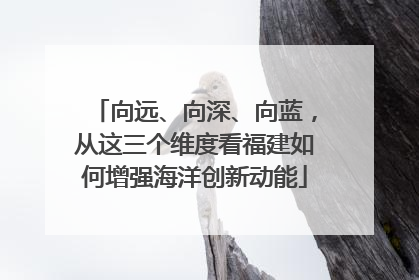 向远、向深、向蓝，从这三个维度看福建如何增强海洋创新动能