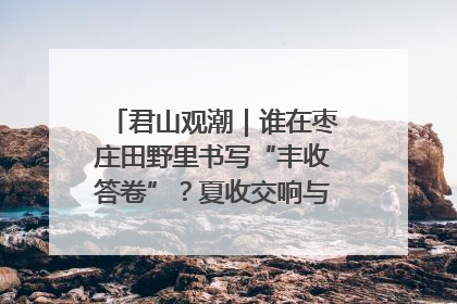 君山观潮｜谁在枣庄田野里书写“丰收答卷”？夏收交响与特色产业，共绘乡村振兴新图景