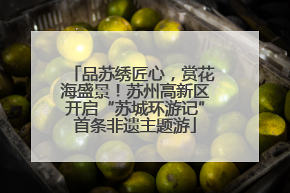 品苏绣匠心，赏花海盛景！苏州高新区开启“苏城环游记”首条非遗主题游