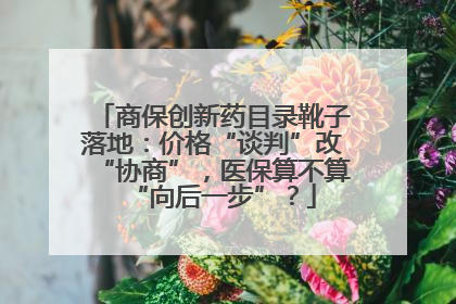 商保创新药目录靴子落地：价格“谈判”改“协商”，医保算不算“向后一步”？
