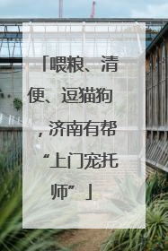 喂粮、清便、逗猫狗，济南有帮“上门宠托师”