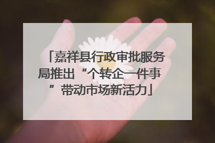 嘉祥县行政审批服务局推出“个转企一件事”带动市场新活力