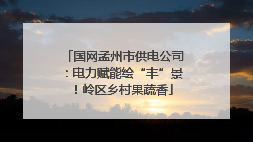 国网孟州市供电公司：电力赋能绘“丰”景！岭区乡村果蔬香