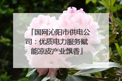 国网沁阳市供电公司：优质电力服务赋能凉皮产业飘香