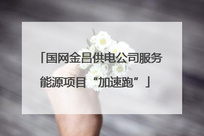 国网金昌供电公司服务能源项目“加速跑”
