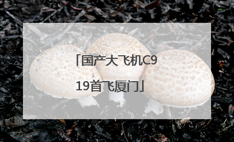 国产大飞机C919首飞厦门
