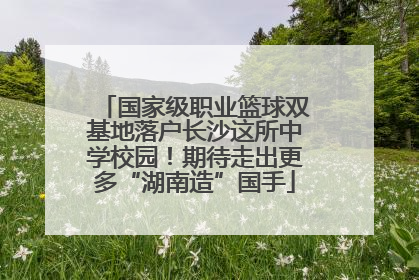 国家级职业篮球双基地落户长沙这所中学校园！期待走出更多“湖南造”国手