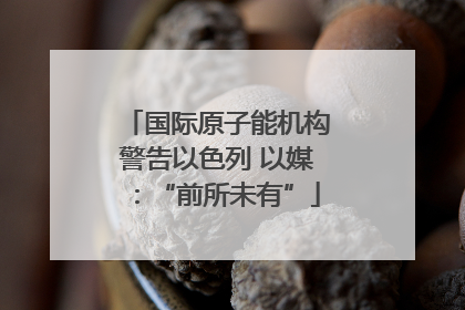 国际原子能机构警告以色列 以媒：“前所未有”