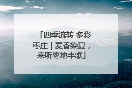 四季流转 多彩枣庄｜麦香染夏，来听枣地丰歌