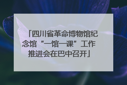 四川省革命博物馆纪念馆“一馆一课”工作推进会在巴中召开