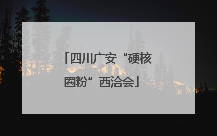 四川广安“硬核圈粉”西洽会