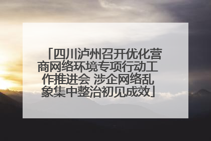 四川泸州召开优化营商网络环境专项行动工作推进会 涉企网络乱象集中整治初见成效