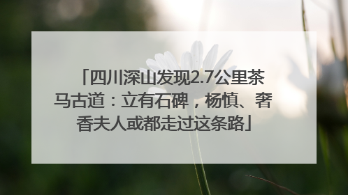 四川深山发现2.7公里茶马古道：立有石碑，杨慎、奢香夫人或都走过这条路