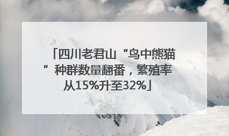 四川老君山“鸟中熊猫”种群数量翻番，繁殖率从15%升至32%