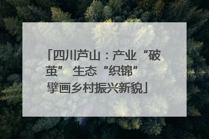 四川芦山：产业“破茧” 生态“织锦” 擘画乡村振兴新貌