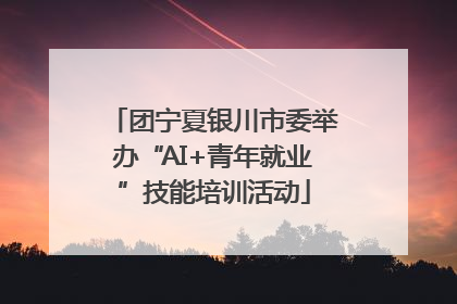 团宁夏银川市委举办“AI+青年就业”技能培训活动