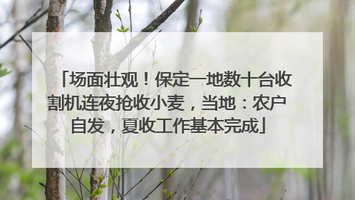 场面壮观！保定一地数十台收割机连夜抢收小麦，当地：农户自发，夏收工作基本完成