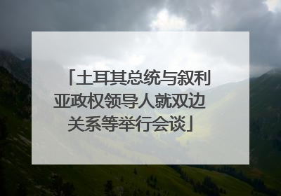 土耳其总统与叙利亚政权领导人就双边关系等举行会谈