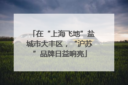 在“上海飞地”盐城市大丰区，“沪苏”品牌日益响亮