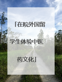 在皖外国留学生体验中医药文化