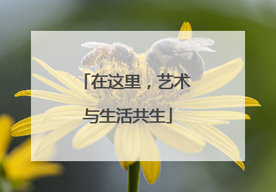 在这里，艺术与生活共生
