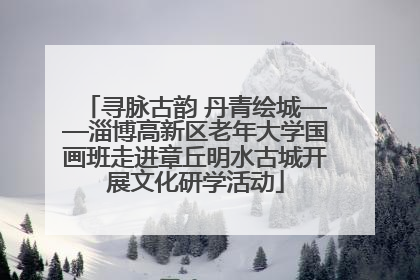 寻脉古韵 丹青绘城——淄博高新区老年大学国画班走进章丘明水古城开展文化研学活动