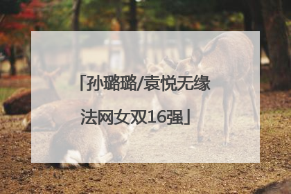 孙璐璐/袁悦无缘法网女双16强