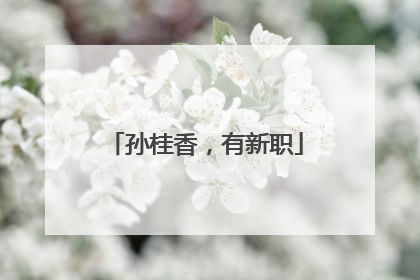 孙桂香，有新职