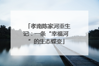孝南陈家河重生记：一条“幸福河”的生态蝶变