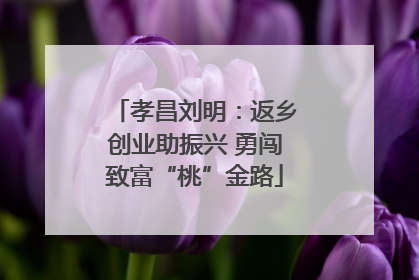孝昌刘明：返乡创业助振兴 勇闯致富“桃”金路