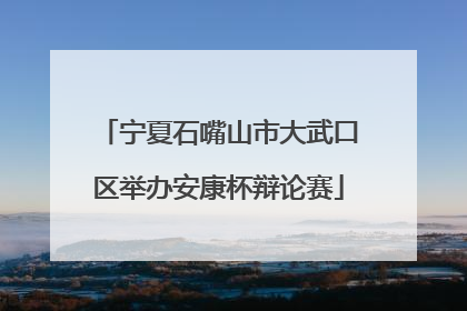 宁夏石嘴山市大武口区举办安康杯辩论赛
