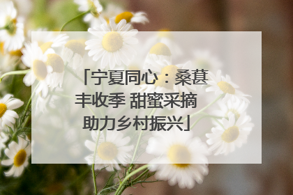 宁夏同心：桑葚丰收季 甜蜜采摘助力乡村振兴