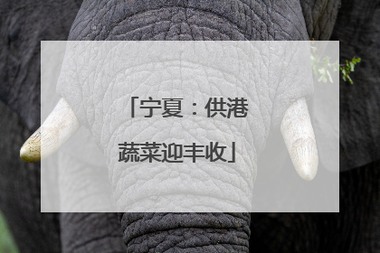 宁夏：供港蔬菜迎丰收