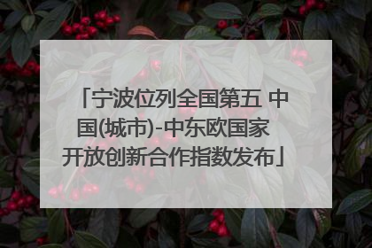 宁波位列全国第五 中国(城市)-中东欧国家开放创新合作指数发布