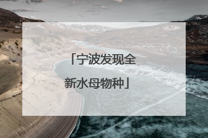 宁波发现全新水母物种