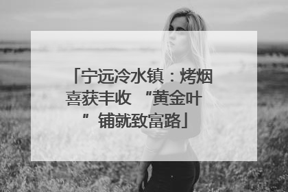 宁远冷水镇：烤烟喜获丰收 “黄金叶”铺就致富路