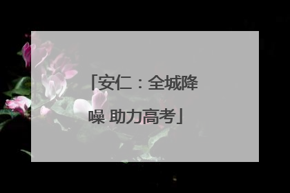 安仁：全城降噪 助力高考
