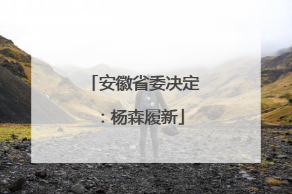 安徽省委决定：杨森履新