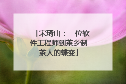 宋琦山：一位软件工程师到茶乡制茶人的蝶变